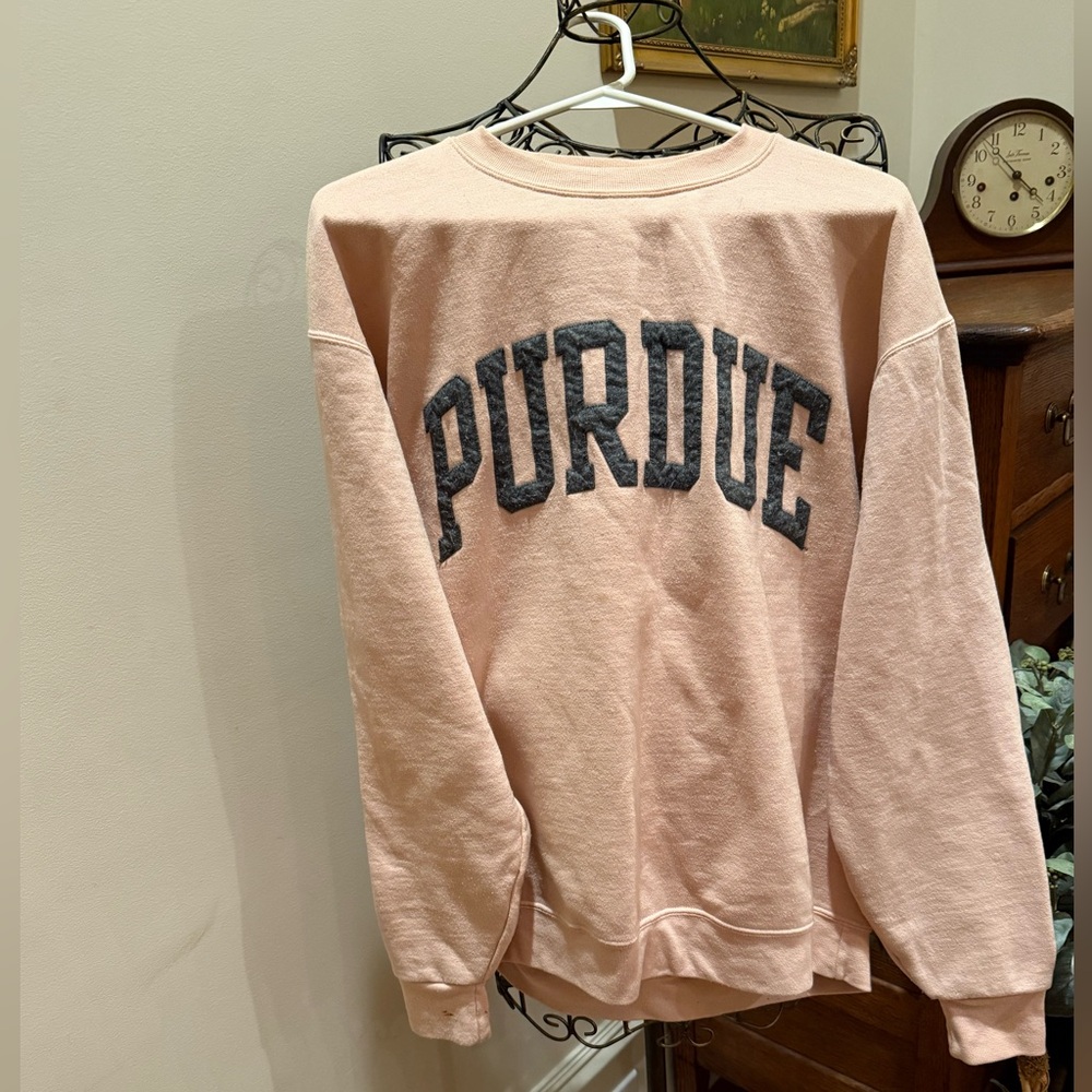 Champion Blush Pink Crewneck Sweatshirt